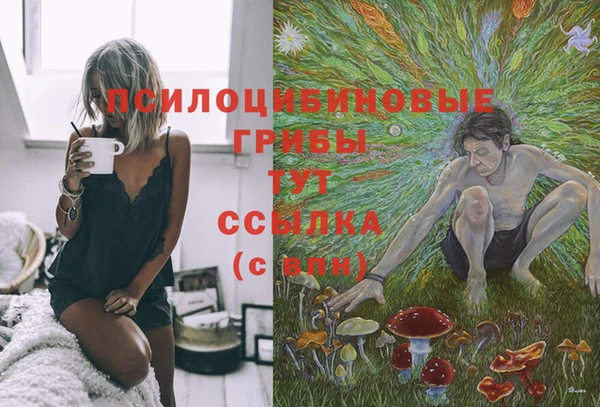 прущие крисы Куйбышев